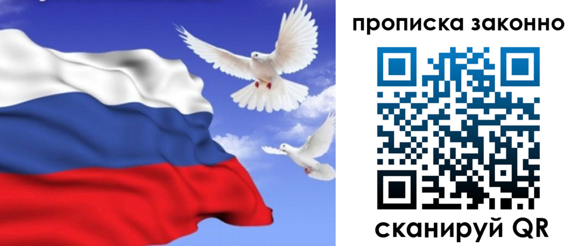 прописка в Галиче